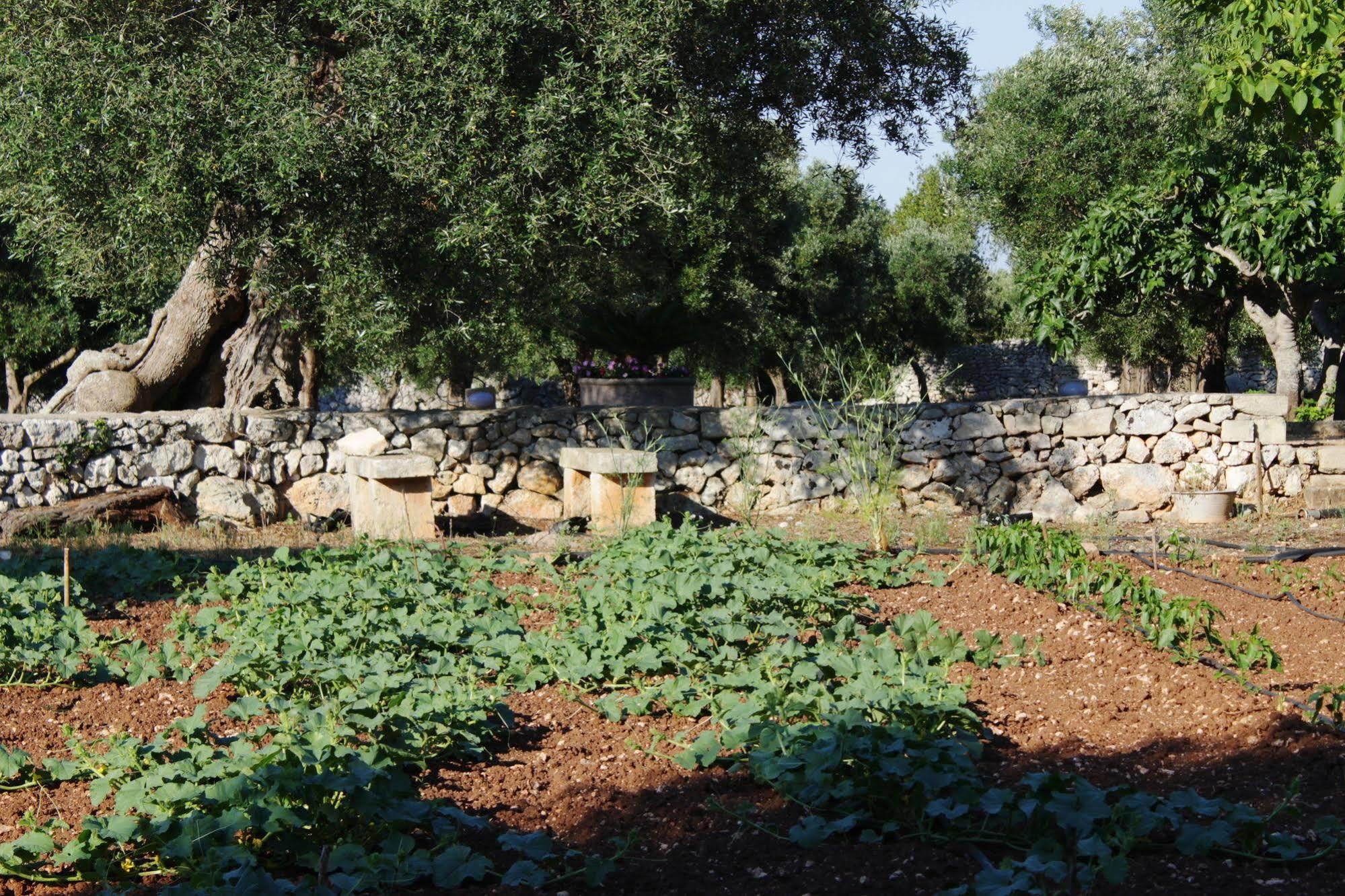 Tenuta Pigliano Hotel Bagnolo del Salento Bagian luar foto
